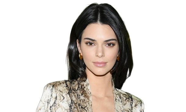 Kendall Jenner Height, Weight, Age, Wiki, Biography, Affairs, Family & More